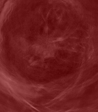 Trilby Plants, Fantasy